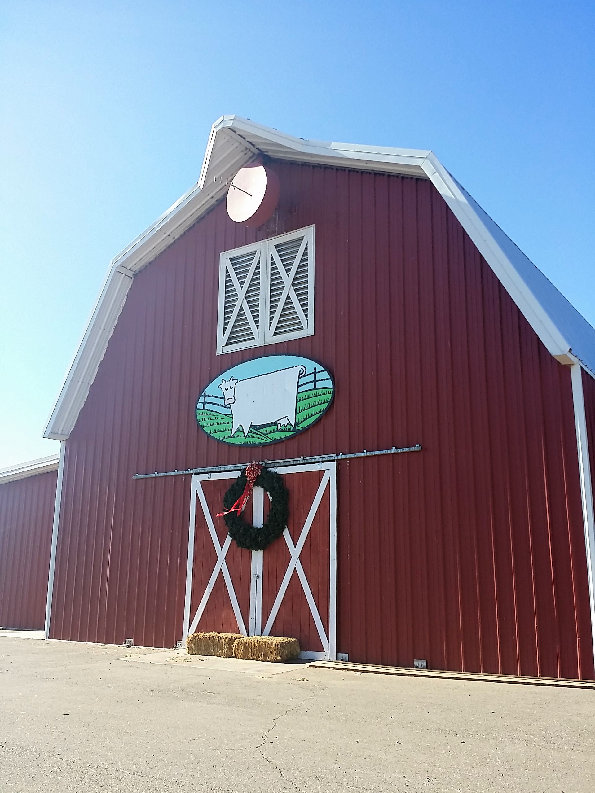 Joy to the Herd Shamrock Farms Travel Foodie Mom